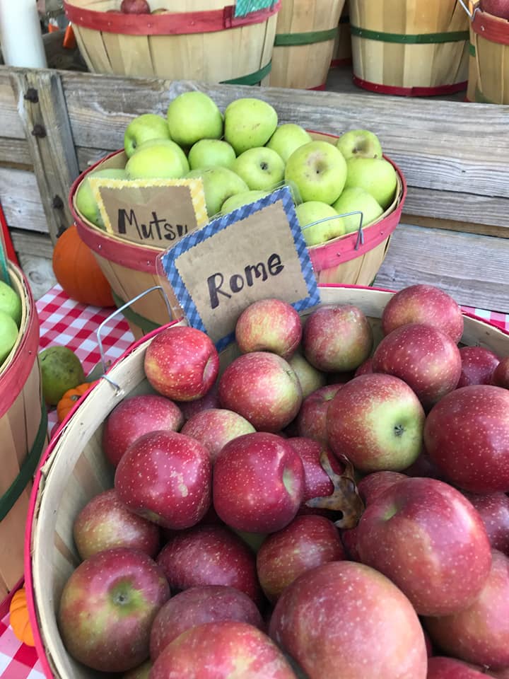 Bushel baskets of fresh Roma and Mutsu apples at Fred's Famous Peanuts stand